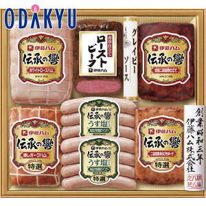 yzc}SݓX m ɓn n `̋oGeB l ISR-100 / Ε Ε ~Mtg ~̑蕨 2025 yV e Fl Ј e b͂]Ԏw聦Eւ͓͕s