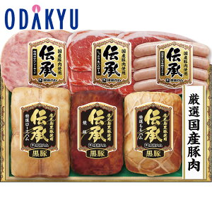 yzc}SݓX m ɓn n ` Yؓn l IDM-100 / Ε Ε ~Mtg ~̑蕨 2025 yV e Fl Ј e b͂]Ԏw聦Eւ͓͕s