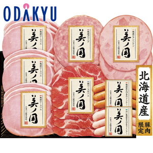 yzc}SݓX m {n n kC v~A m l USS-556 / Ε Ε ~Mtg ~̑蕨 2025 yV e Fl Ј e b͂]Ԏw聦Eւ͓