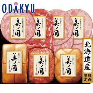 yzc}SݓX m {n n kC v~A m l USS-115 / Ε Ε ~Mtg ~̑蕨 2025 yV e Fl Ј e b͂]Ԏw聦Eւ͓