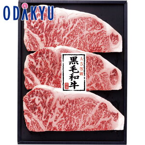 yzc}SݓX A5 јa T[CXe[Lp / Ε Ε ~Mtg ~̑蕨 2025 yV e Fl Ј e b11/6菇͂i͂]ԎwjE