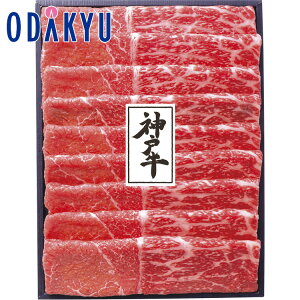 yzc}SݓX _ˋ Ăp / Ε Ε ~Mtg ~̑蕨 2025 yV e Fl Ј e b͂]Ԏw聦Eւ͓͕s