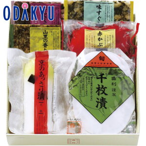 yzc}SݓX m  n ̂ NASW-35 / Ε Ε ~Mtg ~̑蕨 2025 yV e Fl Ј e b11/6菇͂i͂]ԎwjEւ