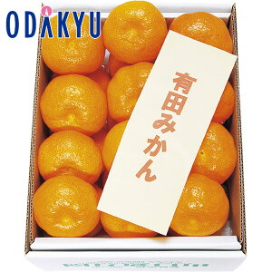 yzc}SݓX Lc݂ / Ε Ε ~Mtg ~̑蕨 2025 yV e Fl Ј e b11/20菇͂i͂]ԎwjEւ͓͕s