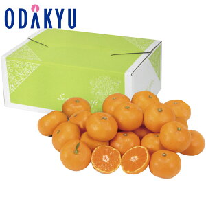 yzc}SݓX 茧Y Cuh ܂݂ / Ε Ε ~Mtg ~̑蕨 2025 yV e Fl Ј e b͂]Ԏw聦Eւ͓͕s