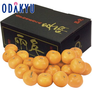 yzc}SݓX QY ̊ۂ݂ / Ε Ε ~Mtg ~̑蕨 2025 yV e Fl Ј e b11/20菇͂i͂]ԎwjEւ͓͕s