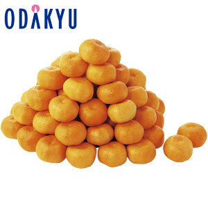 yzc}SݓX FảB݂ / Ε Ε ~Mtg ~̑蕨 2025 yV e Fl Ј e b͂]Ԏw聦Eւ͓͕s