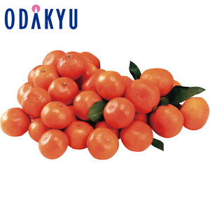 yzc}SݓX F{V xc Cr[ / Ε Ε ~Mtg ~̑蕨 2025 yV e Fl Ј e b12/10菇͂i͂]ԎwjE