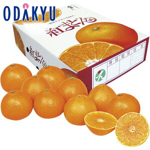 yzc}SݓX QY g܂ǂ KEB-70 / Ε Ε ~Mtg ~̑蕨 2025 yV e Fl Ј e b12/10菇͂i͂]ԎwjEւ͓͕s