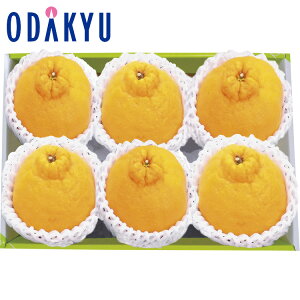 【公式】小田急百貨店 佐賀又は熊本県産 デコポン / 御歳暮 歳暮 冬ギフト 冬の贈り物 2025 楽天 親戚 友人 会社宛 両親 |12/10より順次お届け(※お届け希望期間指定)※沖縄・離島へは届不