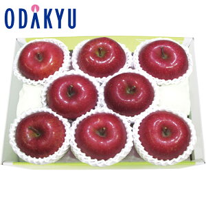 yzc}SݓX X E 茧Y Tӂ / Ε Ε ~Mtg ~̑蕨 2025 yV e Fl Ј e b11/20菇͂i͂]ԎwjE