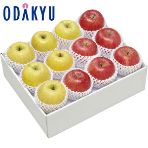 yzc}SݓX 쌧 kMZ Tӂ E  l FO-50W / Ε Ε ~Mtg ~̑蕨 2025 yV e Fl Ј e b11/20菇͂i͂]Ԏwj