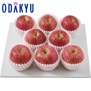 yzc}SݓX X E Tӂ 2kg 8 / Ε Ε ~Mtg ~̑蕨 2025 yV e Fl Ј e b12/10菇͂i͂]ԎwjE