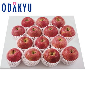 yzc}SݓX X E Tӂ 3.5kg 14 / Ε Ε ~Mtg ~̑蕨 2025 yV e Fl Ј e b12/10菇͂i͂]ԎwjE