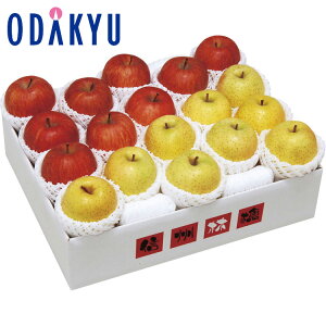 【公式】小田急百貨店 長野県 北信濃 サンふじ ・ 王林 詰合せ DFO-50W / 御歳暮 歳暮 冬ギフト 冬の贈り物 2025 楽天 親戚 友人 会社宛 両親 |11/20より順次お届け(※お届け希望期間指定)※沖