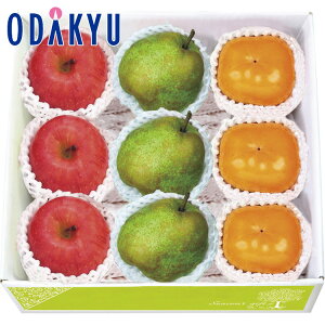 yzc}SݓX {ʃt[c l 9 / Ε Ε ~Mtg ~̑蕨 2025 yV e Fl Ј e b͂]Ԏw聦Eւ͓͕s