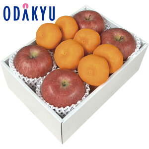 yzc}SݓX x TӂƂ݂̃t[cZbg / Ε Ε ~Mtg ~̑蕨 2025 yV e Fl Ј e b12/10菇͂i͂]Ԏwj