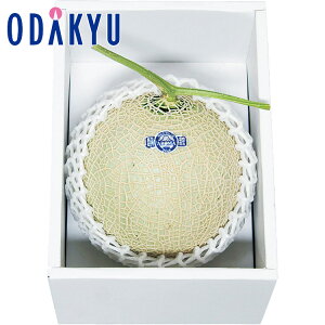 yzc}SݓX ÉY NE}XN 1.3kg YOM-100 / Ε Ε ~Mtg ~̑蕨 2025 yV e Fl Ј e b11/20菇͂i͂]Ԏwj