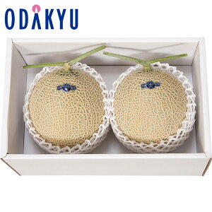 yzc}SݓX ÉY NE}XN 1.3kg × 2 YOM-170 / Ε Ε ~Mtg ~̑蕨 2025 yV e Fl Ј e b11/20菇͂i͂]Ԏwj