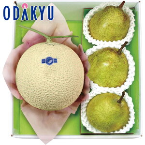 yzc}SݓX F{ E 茧Y }XN  R`Y EtX l / Ε Ε ~Mtg ~̑蕨 2025 yV e Fl Ј e b11/20菇͂i͂