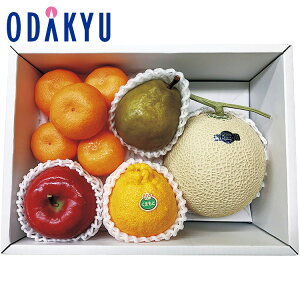 yzc}SݓX ~̏{ / Ε Ε ~Mtg ~̑蕨 2025 yV e Fl Ј e b12/10菇͂i͂]ԎwjEւ͓͕s