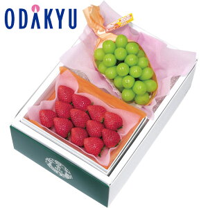 yzc}SݓX m aJt[c n   VC}XJbg / Ε Ε ~Mtg ~̑蕨 2025 yV e Fl Ј e b12/10菇͂i͂]Ԏwj