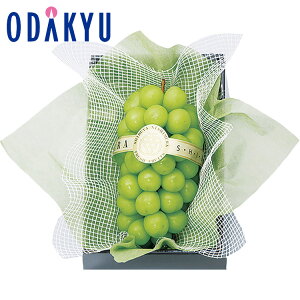 yzc}SݓX m aJt[c n VC}XJbg / Ε Ε ~Mtg ~̑蕨 2025 yV e Fl Ј e b11/6菇͂i͂]Ԏwj