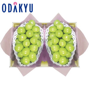 yzc}SݓX 쌧Y VC}XJbg / Ε Ε ~Mtg ~̑蕨 2025 yV e Fl Ј e b11/20菇͂i͂]ԎwjEւ͓