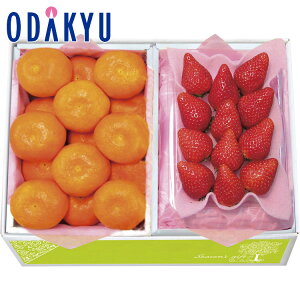 yzc}SݓX Q܂͘a̎RY B݂  ܂͓Ȗ،Y  l / Ε Ε ~Mtg ~̑蕨 2025 yV e Fl Ј e b12/10菇͂i