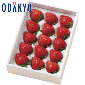 yzc}SݓX  ܂ 360g 12`18 / Ε Ε ~Mtg ~̑蕨 2025 yV e Fl Ј e b12/10菇͂i͂]ԎwjEւ͓͕s