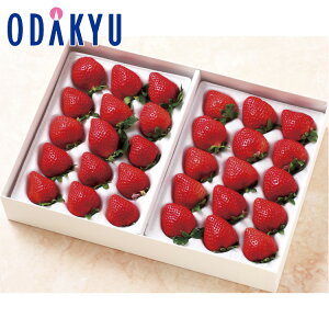 yzc}SݓX  ܂ 360g 12`18 × 2 / Ε Ε ~Mtg ~̑蕨 2025 yV e Fl Ј e b12/10菇͂i͂]ԎwjEւ