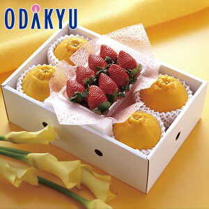 【公式】小田急百貨店 ハウスデコポンと旬の苺 1P / 御歳暮 歳暮 冬ギフト 冬の贈り物 2025 楽天 親戚 友人 会社宛 両親 |12/10より順次お届け(※お届け希望期間指定)※沖縄・離島へは届不