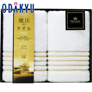 yzc}SݓX m a n vCvC tFCX^IZbg / Ε Ε ~Mtg ~̑蕨 2025 yV e Fl Ј e b11/6菇͂i͂]