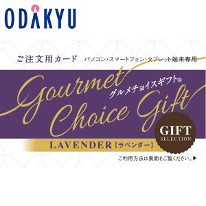 yzc}SݓX m O`CXMtg n x_[R[X J[h / Ε Ε ~Mtg ~̑蕨 2025 yV e Fl Ј e b11/6菇͂i͂]Ԏw