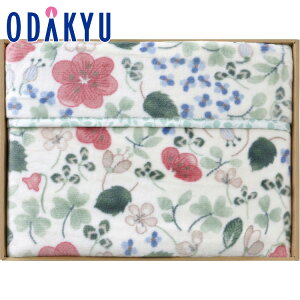 yzc}SݓX m AiEG~A n 삢 Ȗѕz щH / Ε Ε ~Mtg ~̑蕨 2025 yV e Fl Ј e b11/6菇͂i͂]Ԏwj