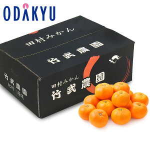 yzc}SݓX a̎R|_̓c݂ 5kg / Ε Ε ~Mtg ~̑蕨 2025 yV e Fl Ј e b12/1菇͂i͂]ԎwjE