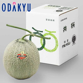 旬 野菜 送料無料 北海道産 夕張メロン 優品 5-1 1.4kg |6月下旬以降のお届け※沖縄・離島へは届不可(直)