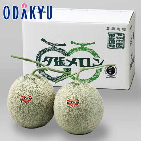 旬 野菜 送料無料 北海道産 夕張メロン 優品 5-2 1.4kg |6月下旬以降のお届け※沖縄・離島へは届不可(直)