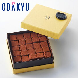 バレンタイン 2026 冷蔵 ［ メゾン ショーダン ］ パヴェ ノワール ｜指定日届※沖縄・離島へは届不可(VD)