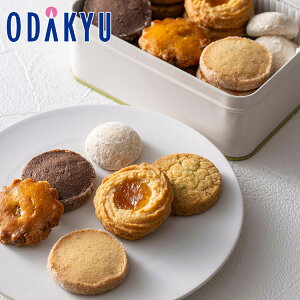 �o�����^�C�� 2026 �m �p�e�B�X���[�E���L�m�V�^�E���q �n �J�}�N���� �b�w����́�����E�����ւ͓͕s��(VD)