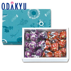 バレンタイン 2026 ［ ル ぺパン ］ ぺパン ドゥ カカオ 16個入 ｜指定日届※沖縄・離島へは届不可(VD)