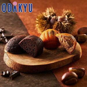 ~ Mtg  m AgG Ajo[T[ n ۂƌĨpEh & ZVRP[L 8 bẃEւ͓͕s()