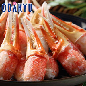 ~ Mtg  {C킢ɒ 430304 bẃEւ͓͕s()