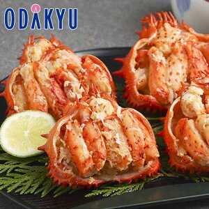 ~ Mtg  ԍ炪ɍb 430266 bẃEւ͓͕s()