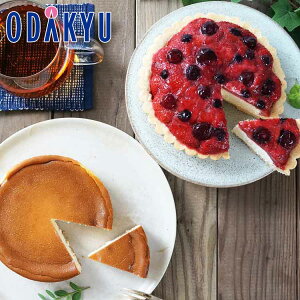 ~ Mtg  m  n 2̂܁[邢P[LZbg 440107 bẃEւ͓͕s()