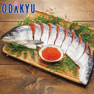 ~ Mtg  kC ѐVƂ bẃEւ͓͕s()