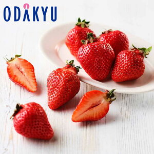 ~ Mtg  ܂ b12{`12{̊Ԃɏ͂Eւ͓͕s()