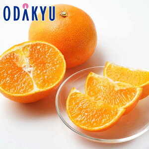 ~ Mtg  QY g܂ǂ b12{`12{̊Ԃɏ͂Eւ͓͕s()