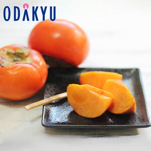 ~ Mtg  Ђ炽̕xL`  12 b11{`12{̊Ԃɏ͂Eւ͓͕s()