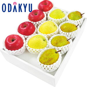 ~ Mtg  EtX E Tӂ E уZbg b11{`12{̊Ԃɏ͂Eւ͓͕s()